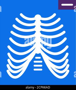 Thorax x-ray screening line color icon. Medical examination. Sign for web page, mobile app, button, logo. Vector isolated button. Editable stroke. Stock Vector