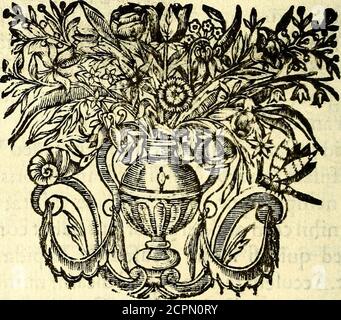 . Mundi lapis lydius, siue, Vanitas per veritat falsi accusata & conuicta . illarum fere principium, amaricudinenon exigua condiit. Non credis? audi Iofephumde Virgine,quodpra:gnansefTet,dimittendanonparum anxium. Quid faciam? inquit.pre-gnancem video Virgi- fnem,caufam ignoro. An fui forfitan pudoris obli- fj+ujk.caeftjnempe, cjuaevoco perpetuae cafticatis ob- P(f*/ZTftritta^nihilcum adulter^moribushabetcommu- rtirnfne. Sed cjuid fi illam accufem ? Lapidandamfcilicet.Accufem tamen. Quid dicam?numquammihicognitam? Qmscredet! Cognitamaiteri ?Abfit, nonicaveneremcaftitasodic, ut illa cupi- dinem Stock Photo