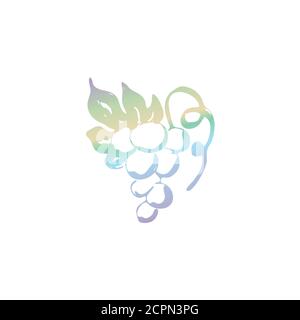 Vector illustration of hand drawn sketch grapes. Grapevine in gradient color Stock Vector