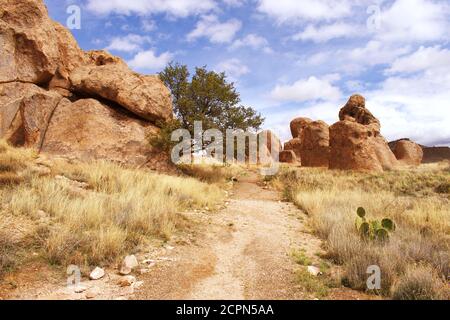 View of boulders that make up City of Rocks State Park in New Mexico, USA Stock Photo