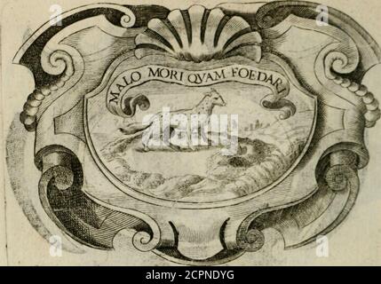 Siluestri A Petrasancta Symbola Heroica Ferdinandvs Rcx Filius Alphonsi Piimiaragoncofis M A R I N V M Marcianum Scfliduceirij Roflanipnncipem Reum Coniuracionis Ill Cuitodiam Folum Dcdicj Abftinuit Vcro A Ncce Illiiis Ne Aflinis