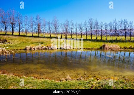 Cloudy Bay Winery in New Zealand Stock Photo - Alamy