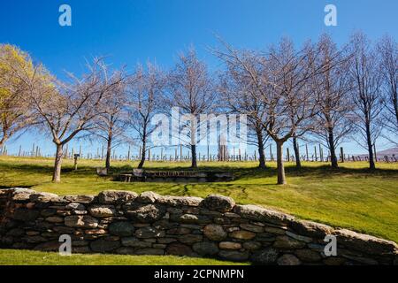 Cloudy bay wine hi-res stock photography and images - Alamy