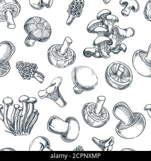 Mushrooms black white seamless pattern. Sketch vector illustration. Hand drawn autumn background. Wrapping paper or textile print design Stock Vector
