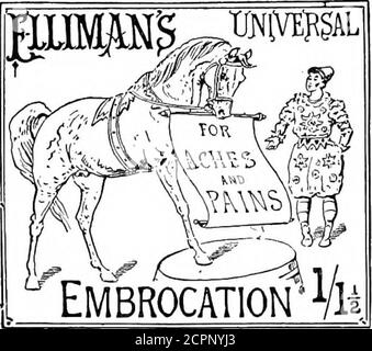 . The uses of Elliman's embrocation for horses, dogs, birds, cattle . The above Trade Mark has been legally registered in allcountries ; it consists of two Pictures—in the left hand is a lamehunter, with a groom rubbing near foreleg, and holding abottle in his left hand ; a gentleman is standing by with his lefthand upon the horses shoulder, a pail is placed against thestable wall, and a dog is lying down behind his master. The right-hand picture has the huntercured, with owner mounted; a gentleman is standing in front of horse looking at cured nearforeleg, three hounds are close by, in the ba Stock Photo