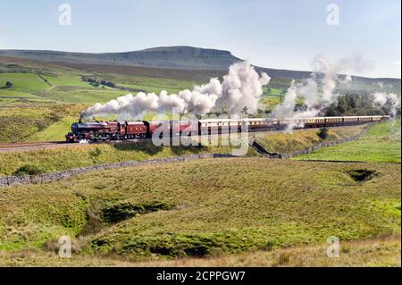 Ribblesdale, North Yorkshire, UK. 19th Sept, 2020. On a sunny Autumn Saturday, steam locomotive 'Princess Elizabeth' climbs the steep gradient of Ribblesdale on the Settle-Carlisle railway, with 'The Northern Belle' train to Carlisle. Pen-y-ghent peak in the Yorkshire Dales National Park is seen in the background. The trip ran from Lancaster to Preston via the scenic Settle-Carlisle and West Coast (Shap) railway lines. Credit: John Bentley/Alamy Live News Stock Photo