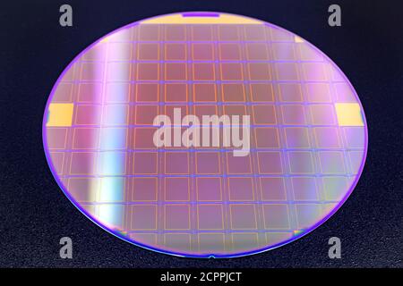 Silicon wafer with microchips on black background. Stock Photo