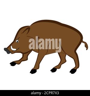 Adult male wild boar with sharp fangs isolated on white background. Stock Vector