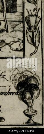 Icones mortis : sexaginta imaginibus, totidemq[ue] . ^A/lcmhtamt ...