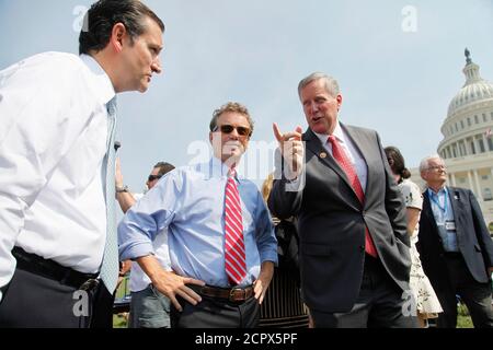 (L-R) U.S. Senator Ted Cruz (R-TX), Senator Rand Paul (R-KY) and Representative Mark Meadows (R-NC) chat as they arrive to speak at the Tea Party Patriots 'Exempt America from Obamacare' rally on the west lawn of the U.S. Capitol in Washington, September 10, 2013. REUTERS/Jonathan Ernst   (UNITED STATES - Tags: POLITICS HEALTH CIVIL UNREST)