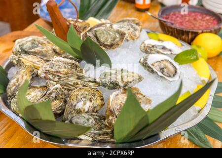Dish with oysters, lemons, chili and leaves on ice on a wooden table Stock Photo