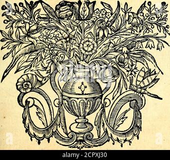 . Mundi lapis lydius, siue, Vanitas per veritat falsi accusata & conuicta . uti ftudio ufque ad ludibrium itcaptos fuifle, ut neceflaria fibi fuifque detraxeriniquo fupereflet, quod comparandis alendifqipeftibus hifce prodigerent. #iam ad Quis non audivit Italum quemda, ut fortun; amstiam fic ingenii non mediocris virum, xgrotanti equc aureumpulvinar,acfericum cubile fubftravifleter quotidie fervorum manibus vectum (podagriquippe laborabat) illi fuipirantem, atque anxiurraflediffe ? blandi murmuris folamen,pharmacortgenus omne ,Medicorum copiam (quod Lazarclanguenti deneges) iollicite impendif Stock Photo