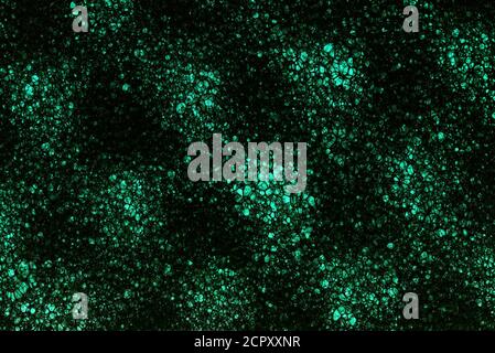 Closeup of seamless grungy green sponge textured background Stock Photo