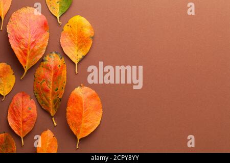 Autumn minimal background with orange leaves over brown paper. Empty room for text. Top view Stock Photo