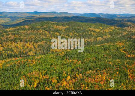 Autumn colors aerial view, Canada, Quebec, La Baie