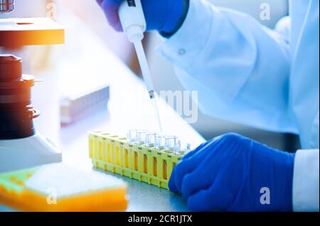 Variable volume multichannel pipette. Medical worker, scientist, laboratory assistant works in the laboratory Stock Photo