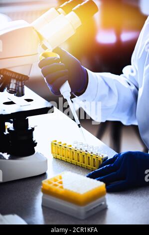 Variable volume multichannel pipette. Medical worker, scientist, laboratory assistant works in the laboratory Stock Photo