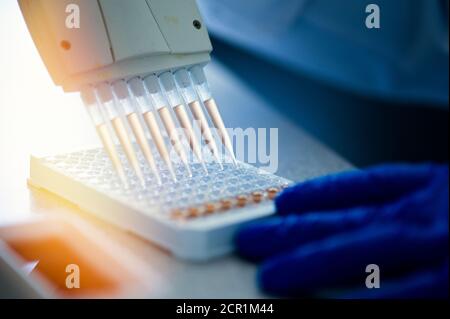 Variable volume multichannel pipette. Medical worker, scientist, laboratory assistant works in the laboratory Stock Photo