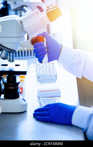 Variable volume multichannel pipette. Medical worker, scientist, laboratory assistant works in the laboratory Stock Photo