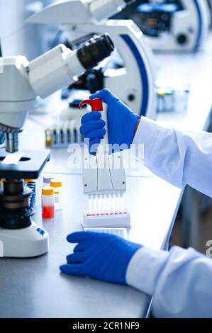 Variable volume multichannel pipette. Medical worker, scientist, laboratory assistant works in the laboratory Stock Photo