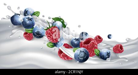 Blueberries and raspberries on a yogurt or milk wave. Stock Vector