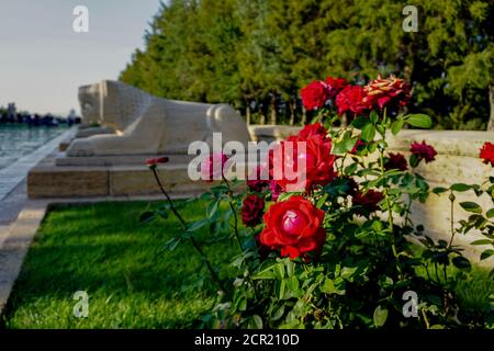 Ankara Anitkabir lion road statues close up view Stock Photo