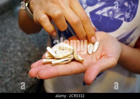 Woman having and eating sunflower seeds in hand Stock Photo