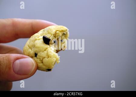 Chocolate chip cookie in hand close up view Stock Photo