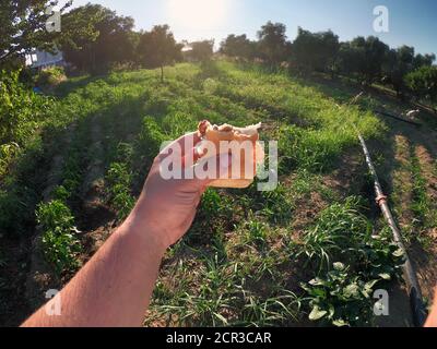 Home made tomato sauce and bread Turkish child snack in man hand on the garden Stock Photo