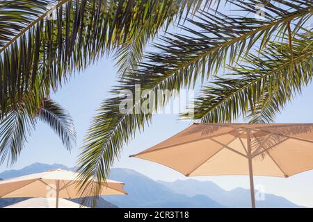 Beach vacation concept. Beach umbrellas and  leaves of palm trees against mountains and blue sky. Montenegro Stock Photo
