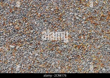 Abstract stone wall background with gray pebbles Stock Photo