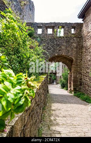 The hiking trail leads through the old castle ruins. Stock Photo