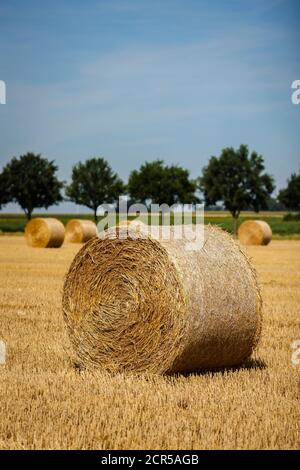 Linnich, North Rhine-Westphalia, Germany - Bales of straw lie on the stubble field after the grain harvest. Stock Photo