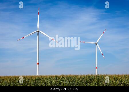 Linnich, North Rhine-Westphalia, Germany - Wind turbines in the wind farm behind corn field against a blue sky. Stock Photo