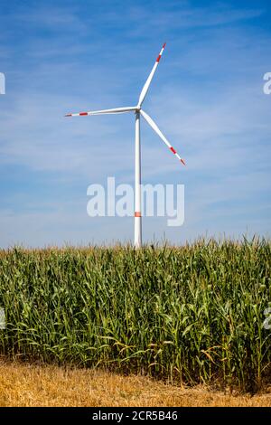 Linnich, North Rhine-Westphalia, Germany - Wind turbine in the wind farm behind stubble field and corn field against a blue sky. Stock Photo