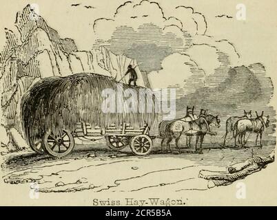 . The roads and railroads, vehicles, and modes of travelling, of ancient and modern countries; with accounts of bridges, tunnels, and canals, in various parts of the world .. . o allow the whole bodv of the vehicle to swing, or to besuspended, by applying springs of various kinds betweenthe vehicle and the axle. Such springs are extremelydiversified. First, we begin with the heavy wagon, which,in consequence of the enormous weights it has to bear,must be built with every attention to strength, so thatelasticity is but little attended to; this we see exemplifiedin the following cut of a rural w Stock Photo