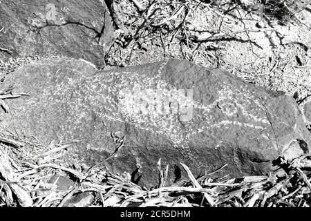 Three Rivers Petroglyph Site in New Mexico, prehistoric Jornada Mogollon rock art. Stock Photo