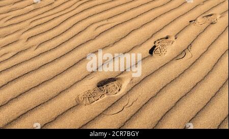 Spurem on the beach at Narbonne Plage in summer Stock Photo