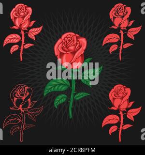 Vector art of rose with thorn with five color styles and lines Stock Vector