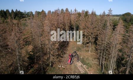 Wissen, Germany. 17th Sep, 2020. A harvester fells spruce trees infested by the bark beetle (aerial view with a drone) (to dpa: 'Collapsed timber market frustrates forest owners') Credit: Thomas Frey/dpa/Alamy Live News Stock Photo