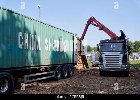 Wissen, Germany. 17th Sep, 2020. Spruce wood is loaded into overseas containers for transport to China. (to dpa: 'Collapsed timber market frustrates forest owners') Credit: Thomas Frey/dpa/Alamy Live News Stock Photo
