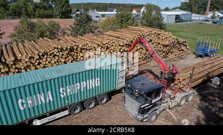 Wissen, Germany. 17th Sep, 2020. Spruce wood is loaded into overseas containers for transport to China (aerial view with a drone). (to dpa: 'Collapsed timber market frustrates forest owners') Credit: Thomas Frey/dpa/Alamy Live News Stock Photo