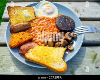 Herdsmans breakfast served outdoors at a farm shop,  bacon fried egg sausage baked beans bacon hash brown black pudding mushrooms and white toast Stock Photo