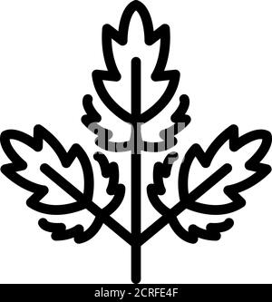 Parsley ingredient icon, outline style Stock Vector