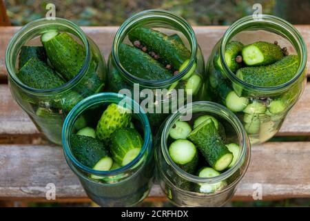 the process of canning pickled gherkins, pickles cucumbers in glass jars. Stock Photo