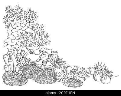 Coral sea graphic art black white underwater landscape illustration vector Stock Vector