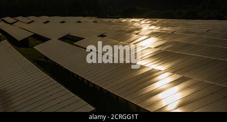 Many Photovoltaik solar panels arranged as part of a big solar powerplant, sun mirroring Stock Photo