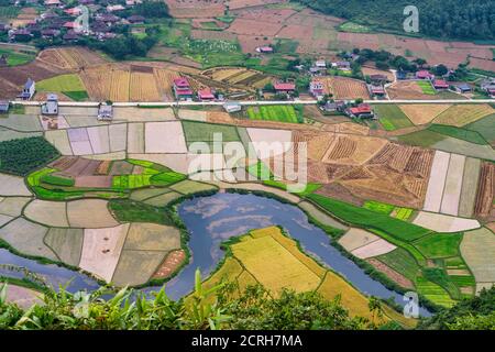 Rice field in harvest time in Bac Son valley, Lang Son, Vietnam Stock Photo