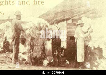 . The heart of the South along the line of the Atlanta & West Point R.R. and the Western railway of Alabama . town of Lanett, Ahi. INSPECTING COTTON. nionthlv