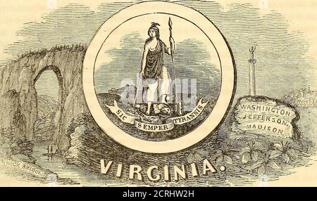 . A gazetteer of the United States of America : comprising a concise general view of the United States, and particular descriptions of the several states, territories, counties, districts, cities, towns, villages, their mountains, valleys, islands, capes, bays, harbors, lakes, rivers, canals, railroads, &c. ; with the governments and literary and other public institutions of the country; also, its mineral springs, waterfalls, caves, beaches, and other fashionable resorts; to which are added valuable statistical tables, and a map of the United States . , its navigation also,have been encouraged Stock Photo